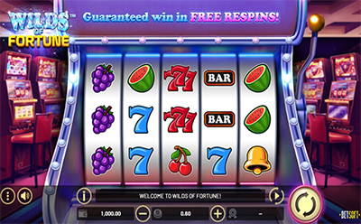 The Wild of Fortune Slot